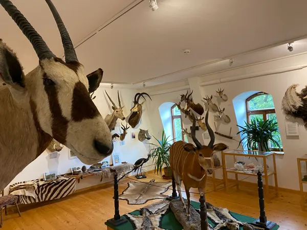 leubnitz_ausstellung