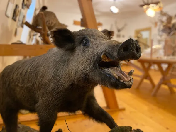 leubnitz_jagd_ausstellung